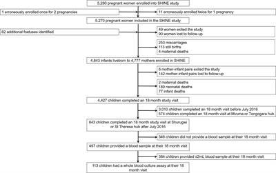 Stunting Status and Exposure to Infection and Inflammation in Early Life Shape Antibacterial Immune Cell Function Among Zimbabwean Children